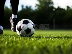 国乒揽获五,冠赛事亮点,一览,英皇娱乐官网,英皇娱乐品牌,英皇娱乐精彩,英皇娱乐